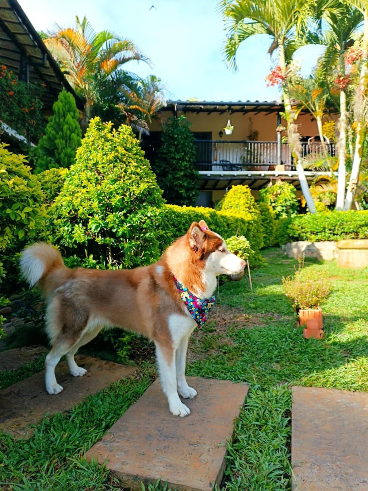 Hotel Campestre Casona Del Camino Real San Gil Zewnętrze zdjęcie